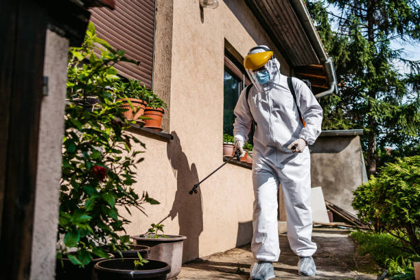 Best Rodent Control Near Me  in Fremont, MI