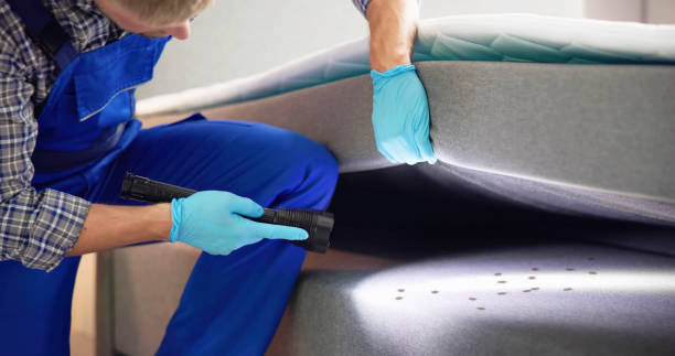 Best Flea Control Services  in Fremont, MI