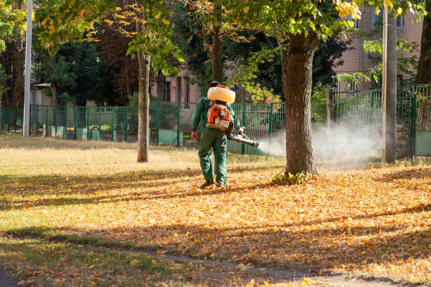 Best Affordable Pest Control Services  in Fremont, MI